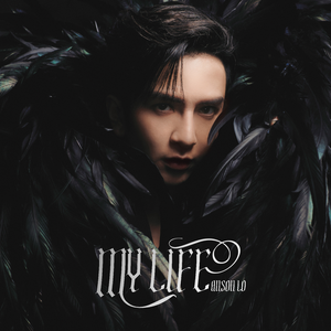 欧洲亚洲视频免看
