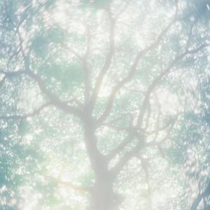 欧洲亚洲视频免看
